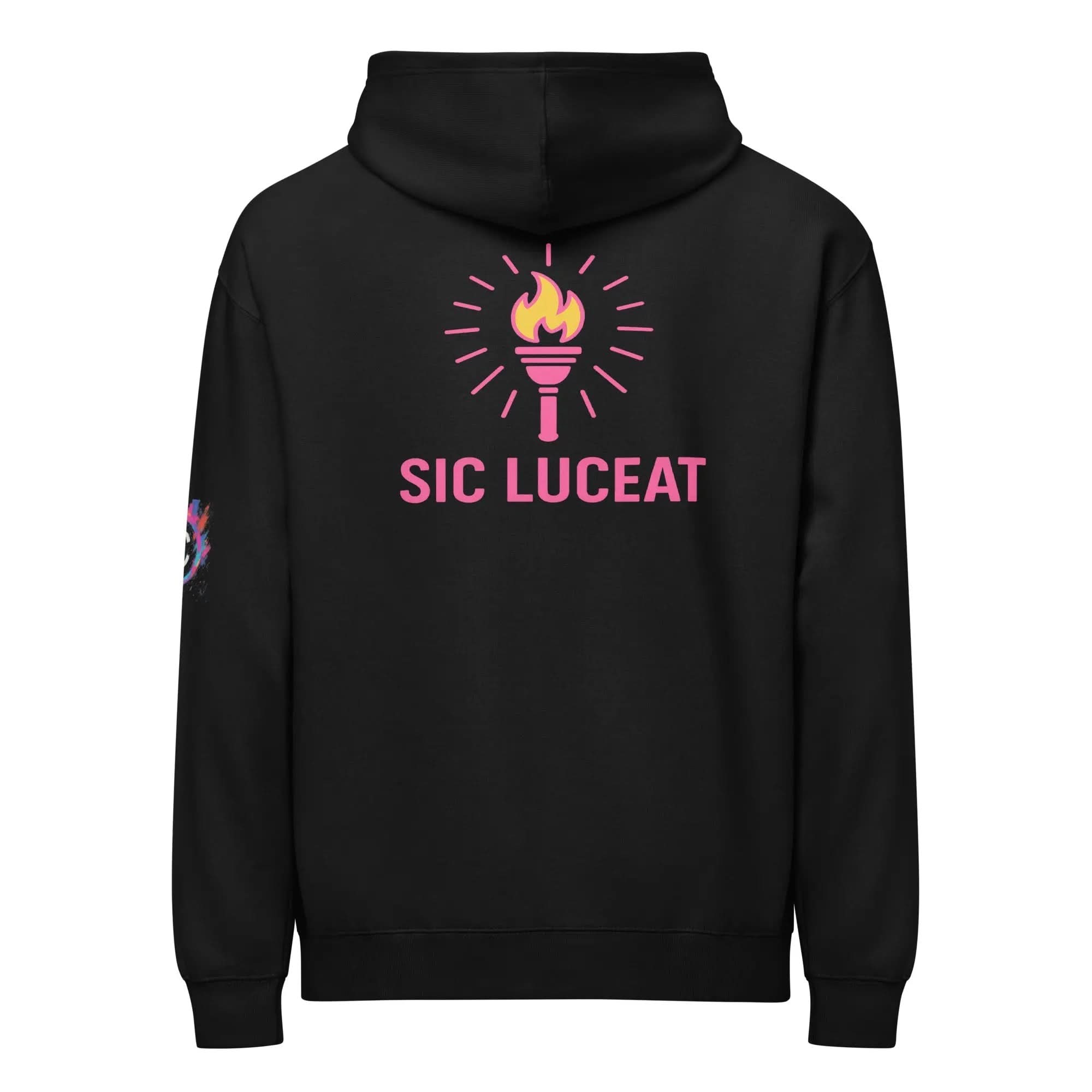 HC SLL ASL Men’s Box Hoodie - Humana Conditio LLC
